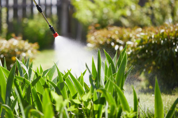 Tamper-Resistant Bait Stations for Rodents in Bakerstown