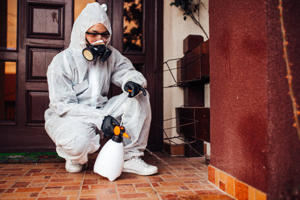 Attic and Crawl Space Rodent Treatment in Bakerstown