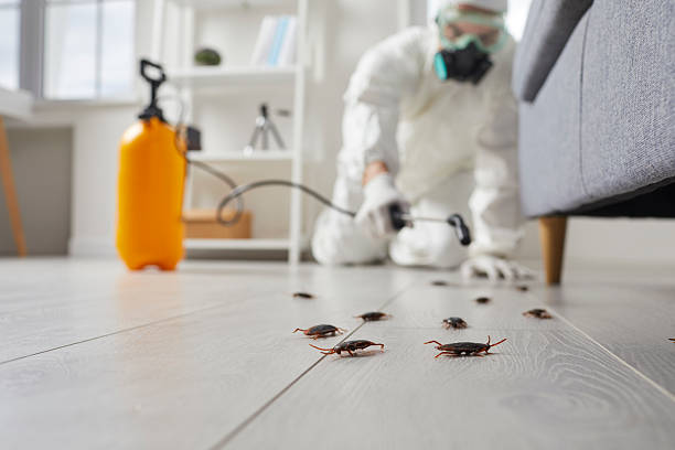Commercial Rodent Management in Bakerstown